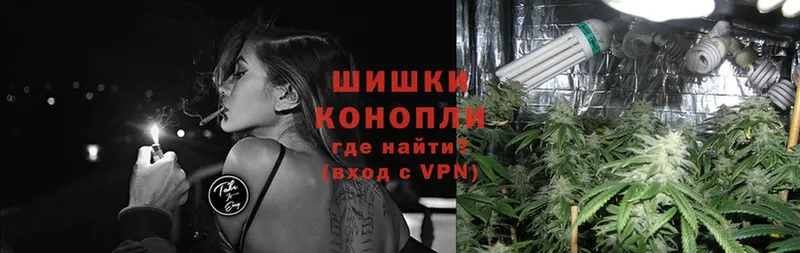 Канабис White Widow  что такое   Горнозаводск 